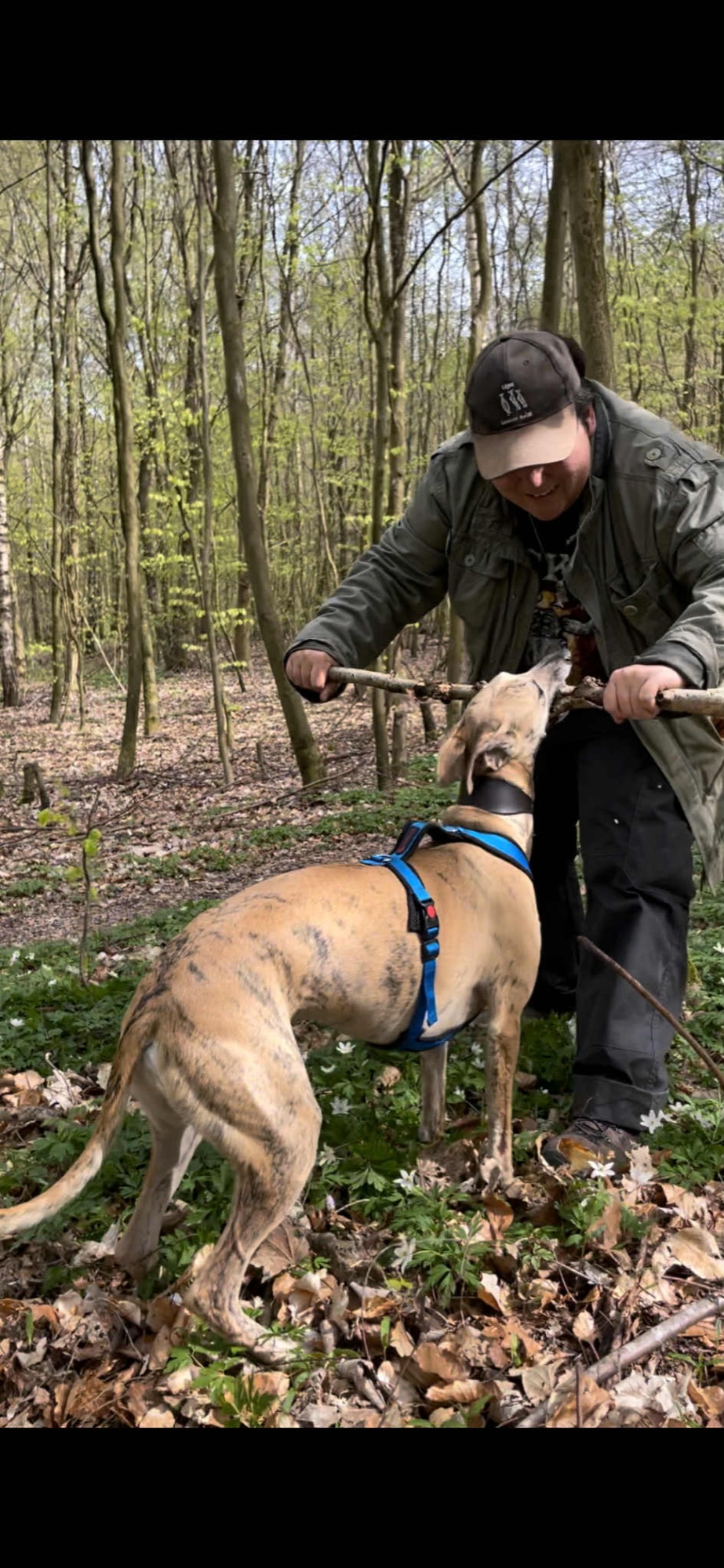 Maria fra GARM Hundetræning træner med mynden Kumak i skoven nær Sorø